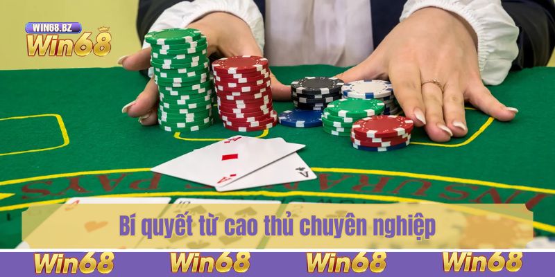 Bí quyết từ cao thủ chuyên nghiệp